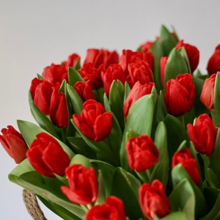 Красные тюльпаны в корзине - фото 4